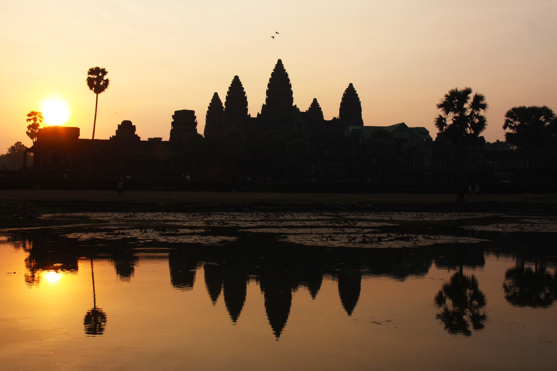 Angkor Wat Sunrise