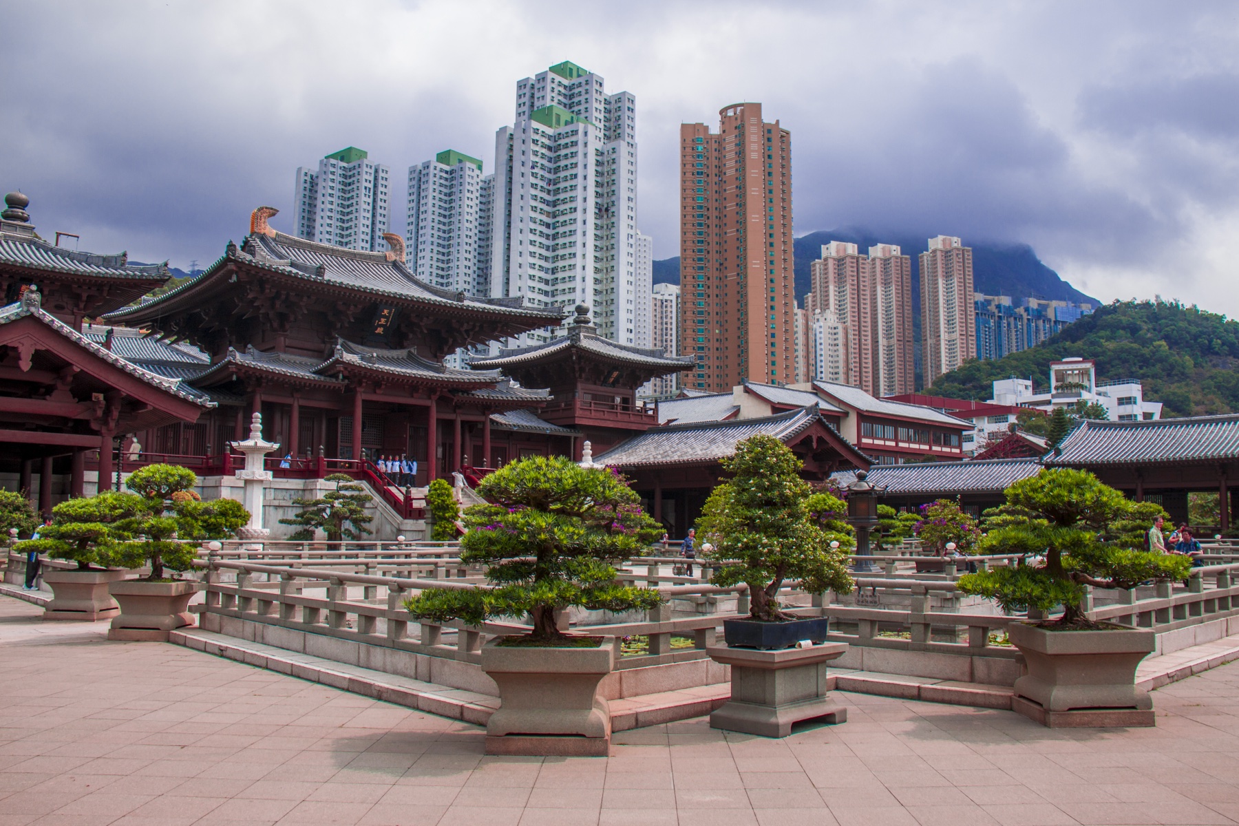 Bonsai Temple Courtyard