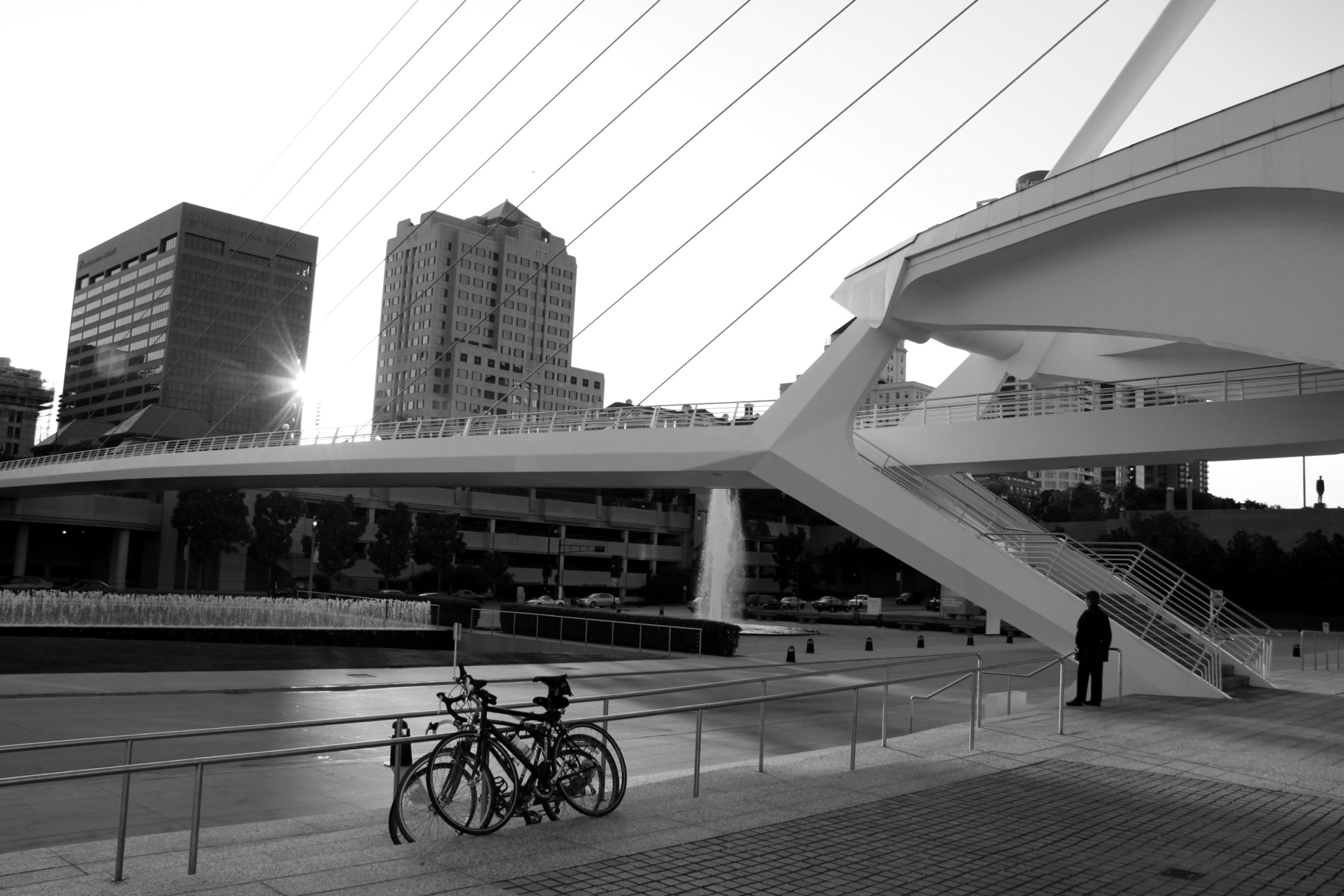 Cable Bridge Skyline