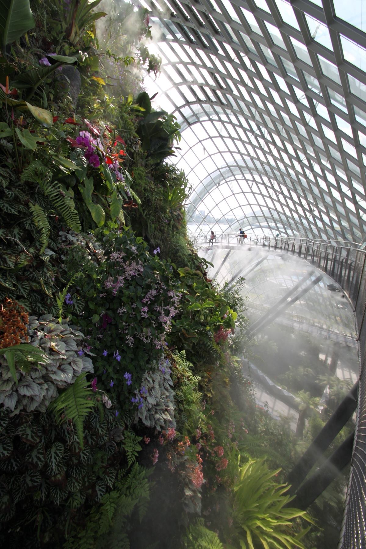 Cloud Forest Dome