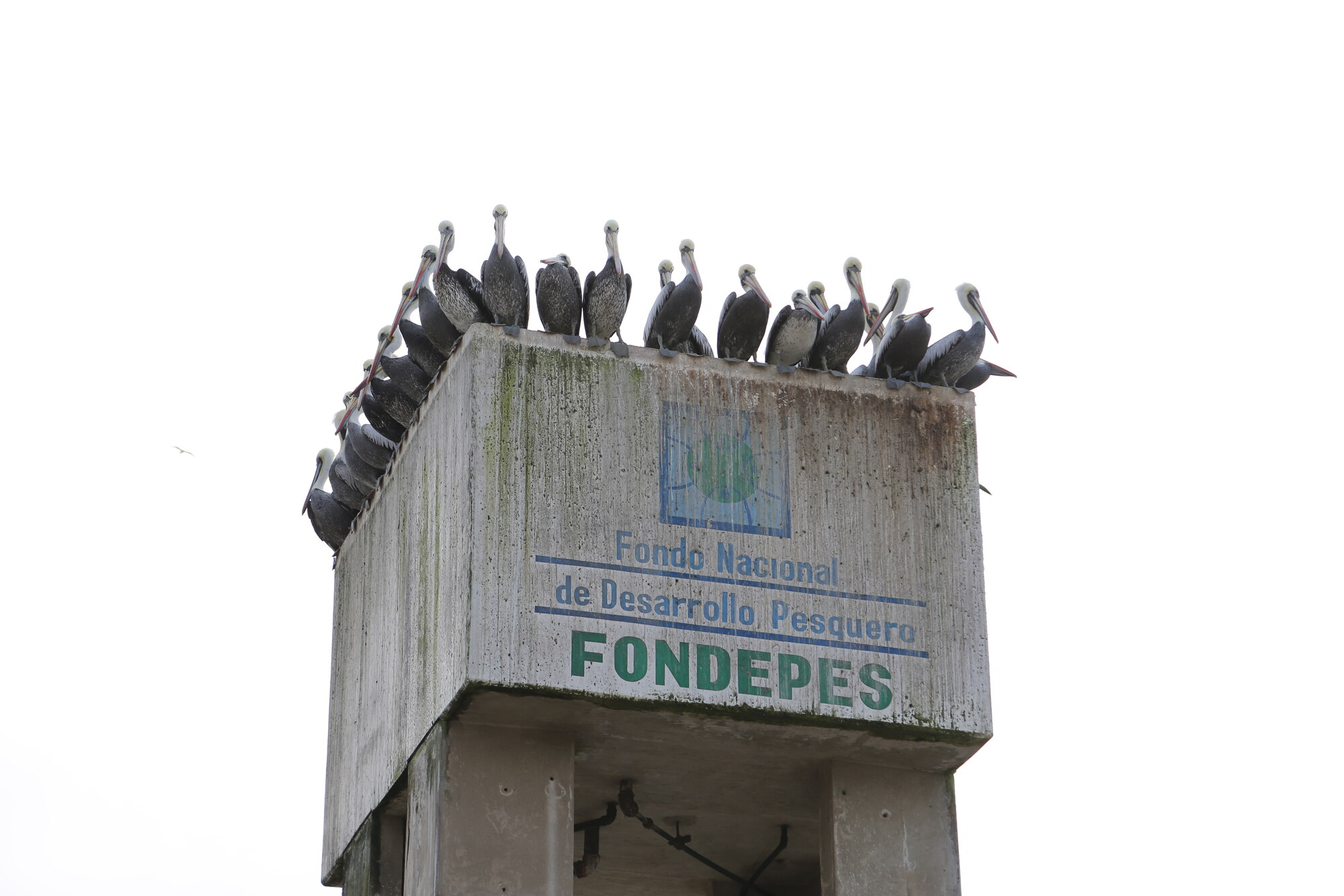 Fondepes Tower