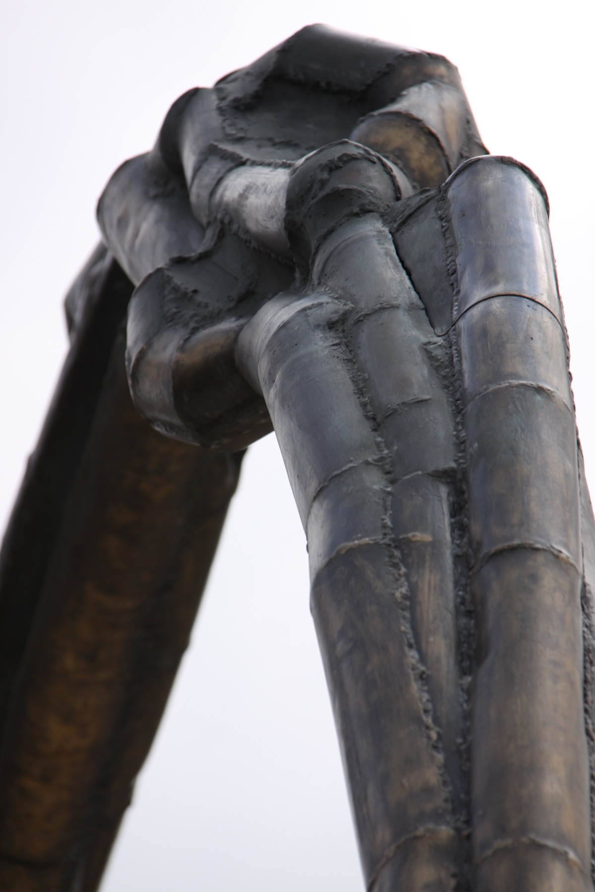 Spider Leg Detail