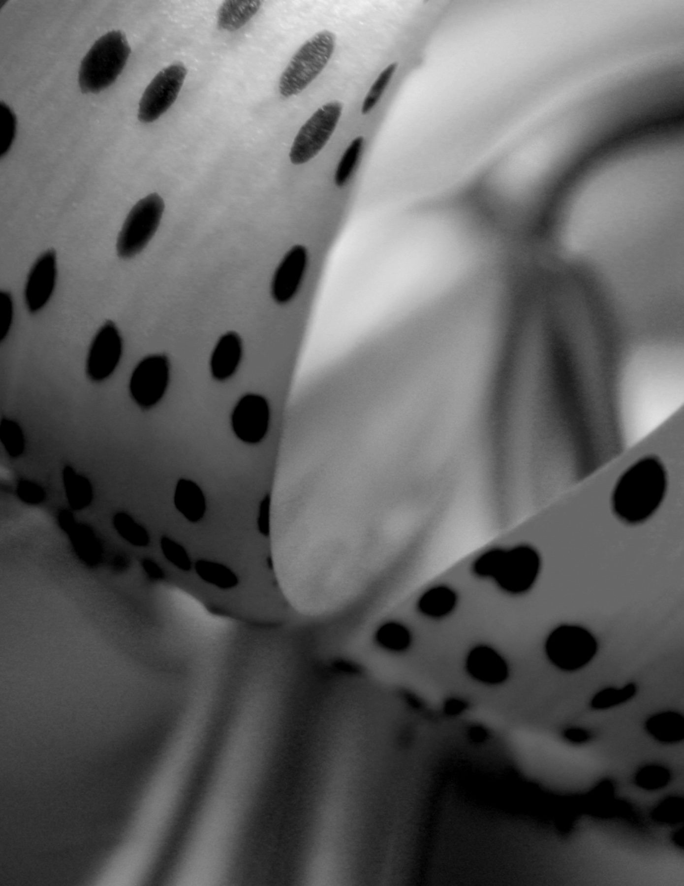 Spotted Lily Macro