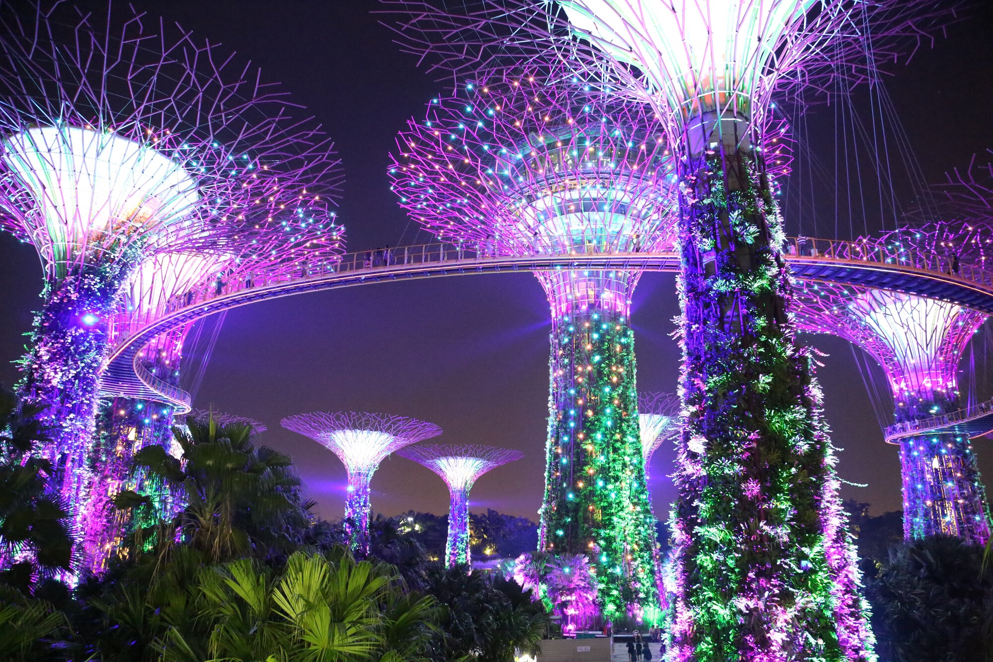 Supertree Bloom