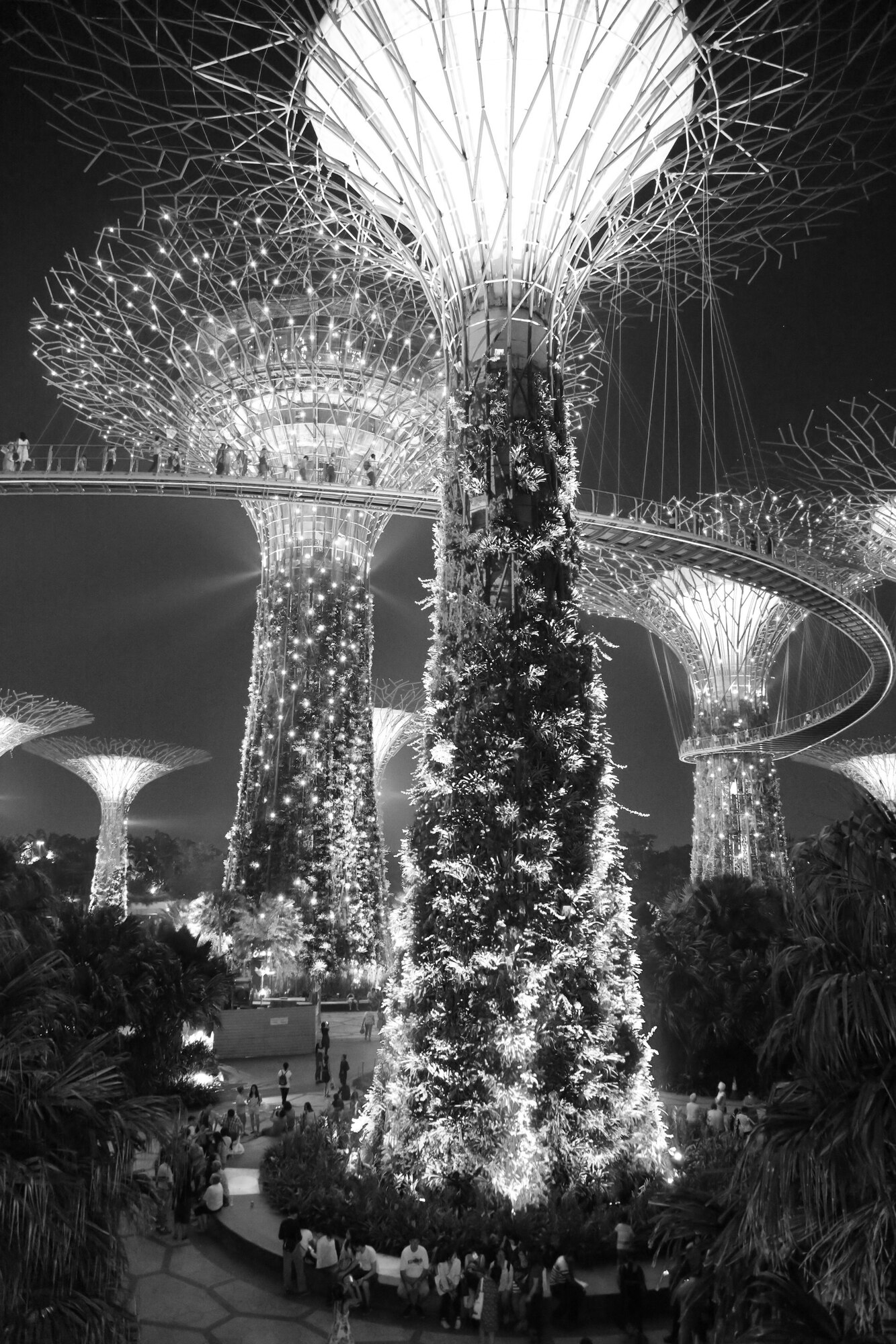 Supertree, Night