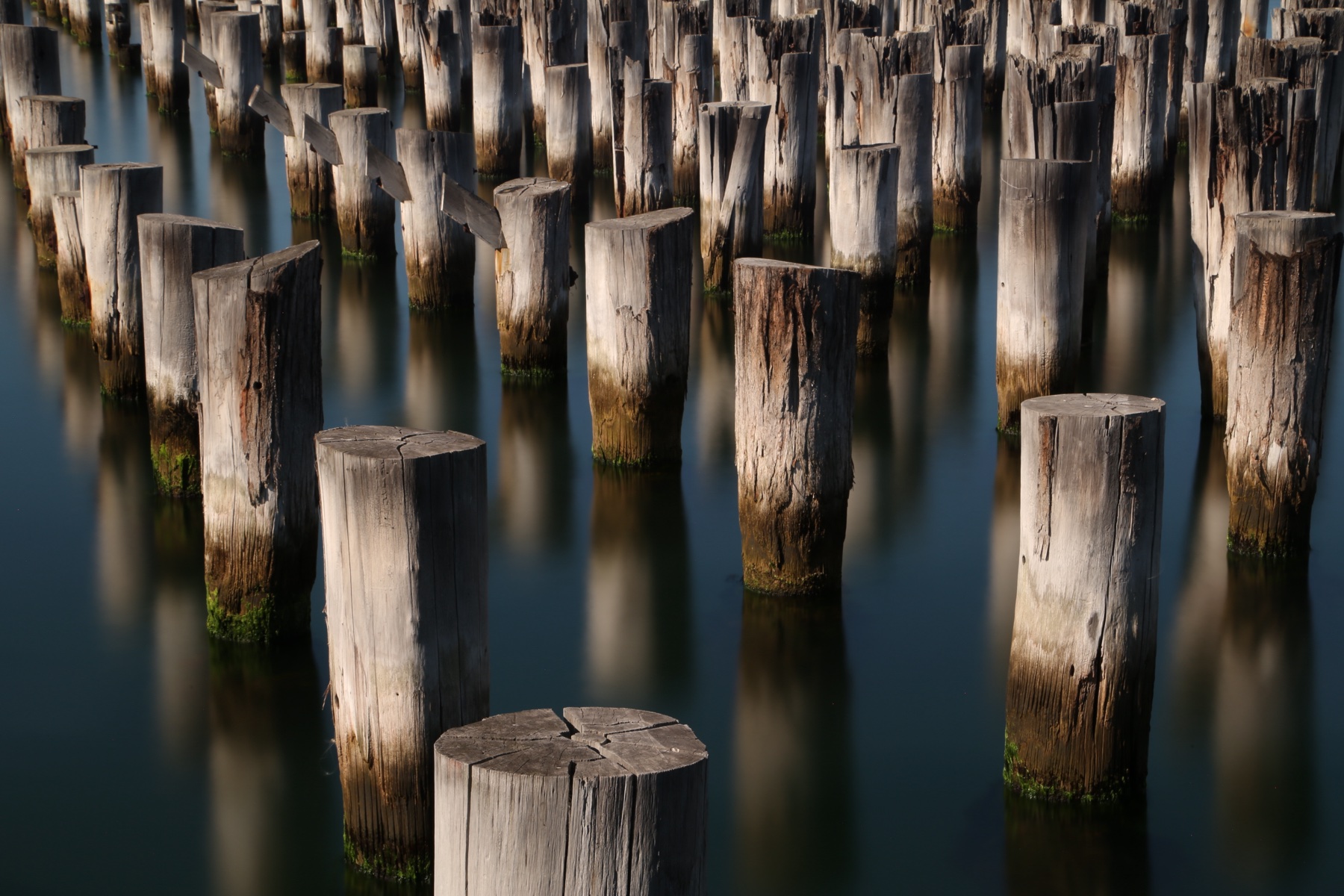 Weathered Pier Pilings